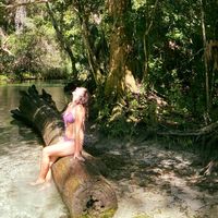 Maggie Esculano's profile image