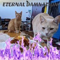 Ben Wilson's profile image