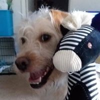 Leslie Nye's profile image