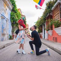 Dani Shae Aplanalp's profile image