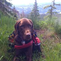 RuthAnn Lobos's profile image
