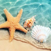 Tammy Welden's profile image