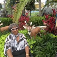 Lynette Lockner's profile image