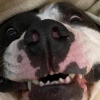 Ethan Kolt's profile image