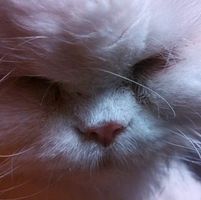 Marie Taylor's profile image