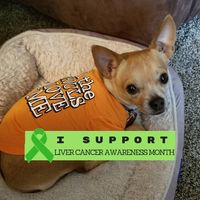 JoAnne McClanahan Wied's profile image