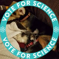 Melinda Weaver's profile image