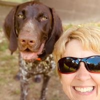 Amy Smith's profile image