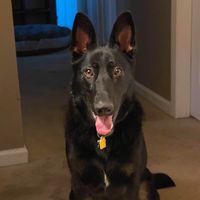 Jackie Zukowski's profile image