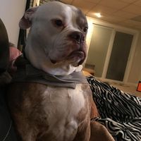 Danielle Michelle's profile image