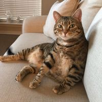 Carolyn Eiland's profile image