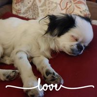 Jo Vanucie's profile image