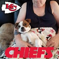 Terrie Powell's profile image