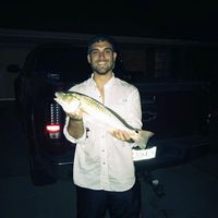 D.j. Guidry's profile image