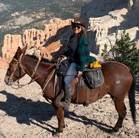 Nancy Murray's profile image