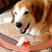 Vicki Baur's profile image