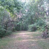 Jennifer LaBelle Hause's profile image