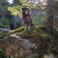 Elizabeth Bowers Juzaitis's profile image