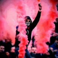 Ahmed Chaker's profile image