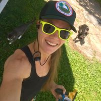 Morgan Whitehead's profile image