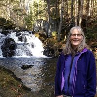 Beth Lanphear Delano's profile image