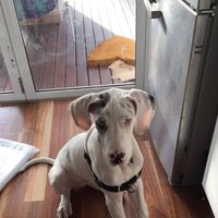 Georgie Cadwallader's profile image
