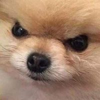 Sean Coutts's profile image