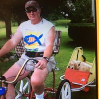 Mark Steadman's profile image