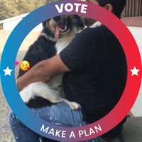 Naho Rios's profile image