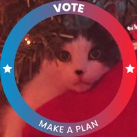 Art Anderson's profile image
