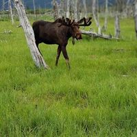 Beth Harp's profile image