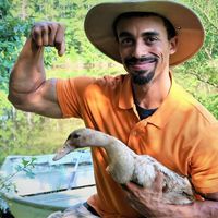 Mike Dickson's profile image
