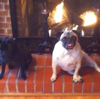 Brenda Reed's profile image