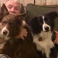 Carol Zimmerman's profile image