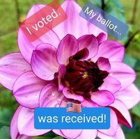 Marilyn Ross Madison's profile image