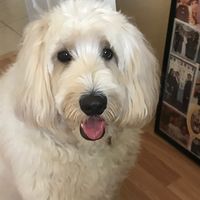 Marisa Silberman's profile image