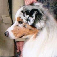 Marcia Stiger's profile image