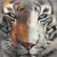 Tracy Gross's profile image