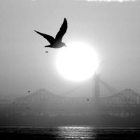 Barbara Jean Salm's profile image