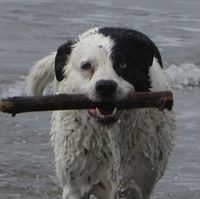 Tracy L Stewart's profile image