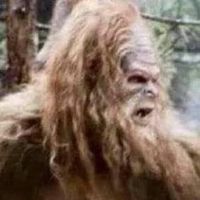 Mike Ireland's profile image