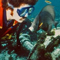 Rob Desi Stephens's profile image