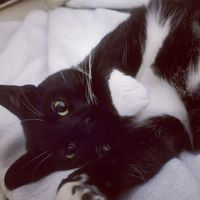 Tammi Burrell's profile image