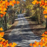 Sonia Bahre's profile image