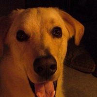 Jami Huston-Daun's profile image