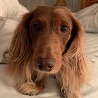 Suzanne Elar Noonan's profile image