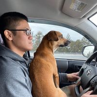 Kevin Nguyen's profile image