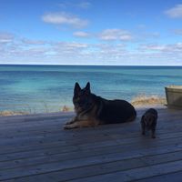 Jeannette Sullivan's profile image