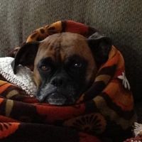 Rob Freshour's profile image