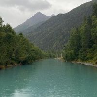 Dena Wigginton's profile image